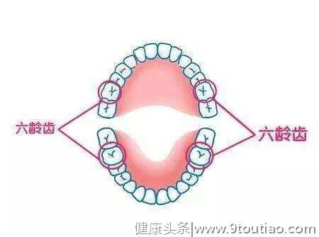 史上最全牙齿指南，一次性解决从出生到成年的所有牙齿问题