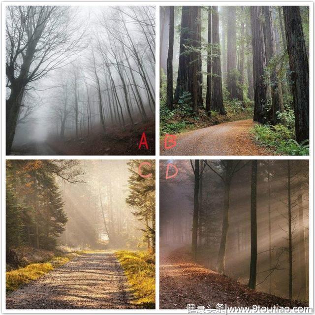 心理测试：四条路选择一条走出森林，测试你容易被异性欺骗吗？