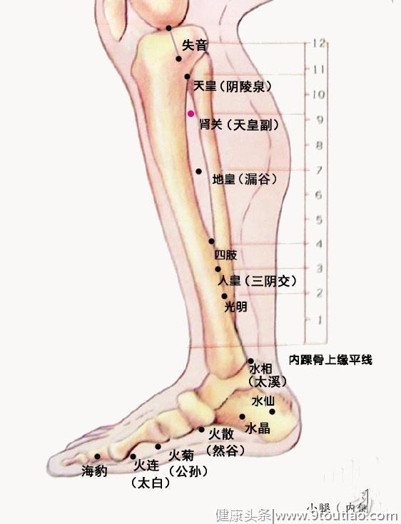 左常波｜颈椎病的主穴、解结与放血