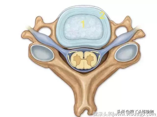 颈椎瑜伽先从认识颈椎开始，你需要的可能就是这一种方法