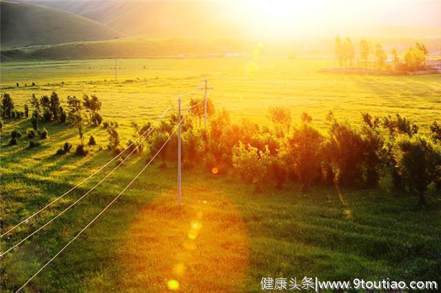 在夏天，这个轻松的养生方式，让人意想不到