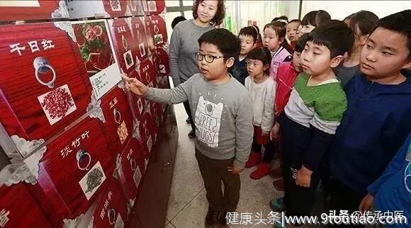 重磅：小学五年级开始学中医