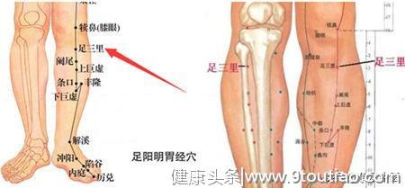 针灸治疗用的最多的一个穴位是... ...