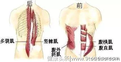 腰痛-无声的哀嚎