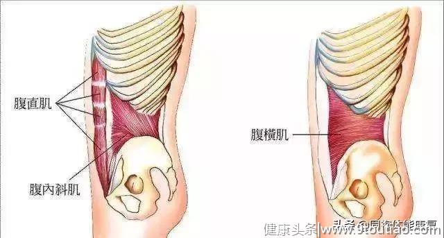 腰痛-无声的哀嚎