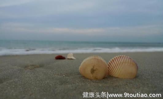 心理测试：到了海边，你会捡哪一个贝壳？测你将来成了什么样的人