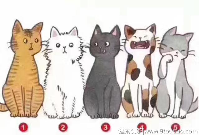 超准心理测试：五只猫选一只，测试你在别人眼中的形象