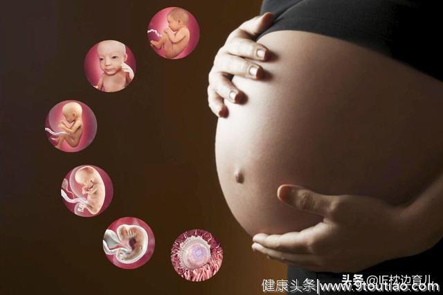 怀胎十月胎儿是怎么发育的？胎儿在子宫里悄悄发生变化，过程很萌