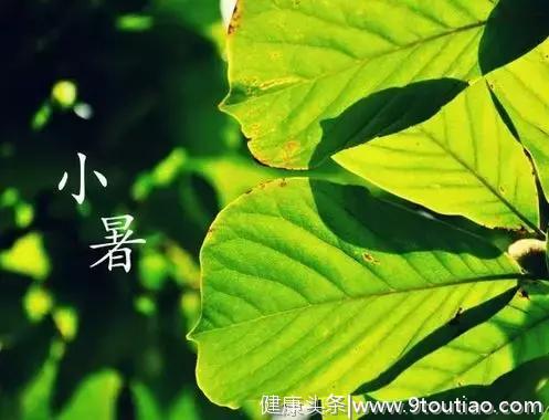 小暑养生，过“六关”喝“三汤”，健康一整夏！