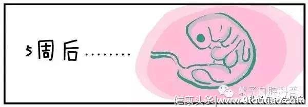 你的牙齿从何而来？看完这篇漫画就懂了