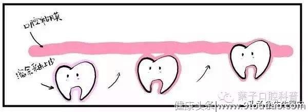 你的牙齿从何而来？看完这篇漫画就懂了