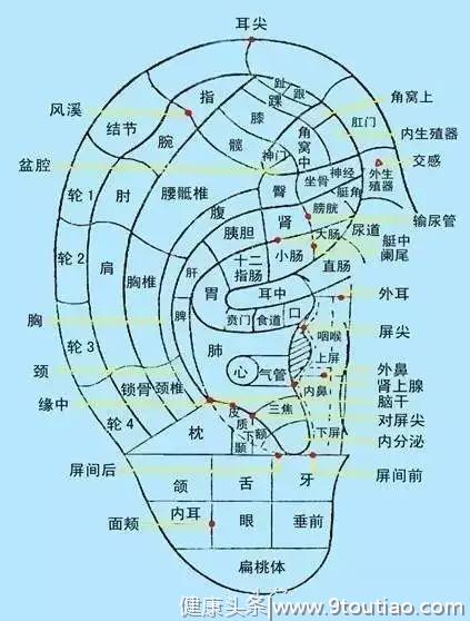 中医放血疗法：耳尖放血治病多，疗效显著易操作