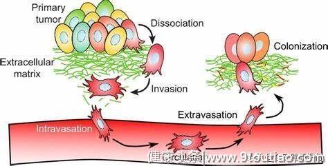 癌症为什么发生致命转移，多篇重磅研究揭示幕后黑手