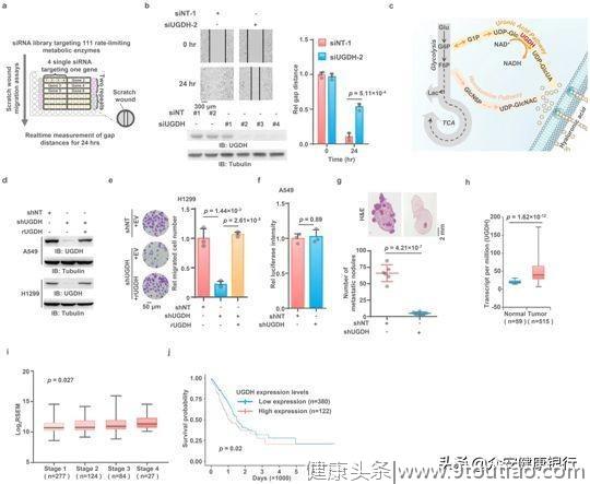 癌症为什么发生致命转移，多篇重磅研究揭示幕后黑手