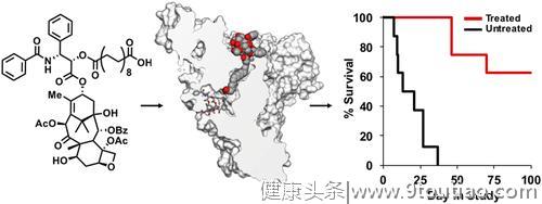 颤抖吧肿瘤，美国发明的“特洛伊木马”抗癌药来了