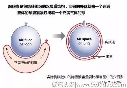 10分钟搞定呼吸系统