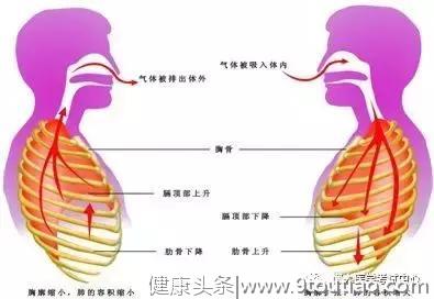 10分钟搞定呼吸系统