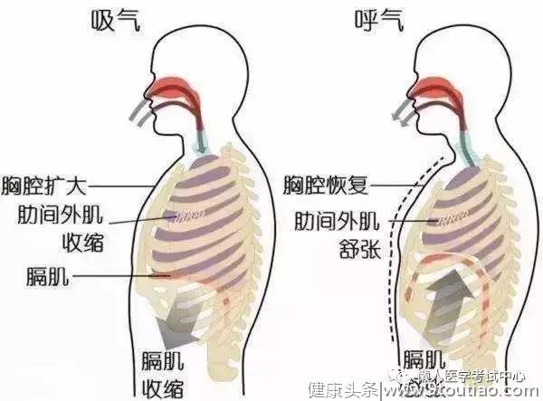 10分钟搞定呼吸系统