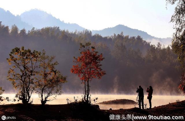 心理测试：直觉选一张蒲公英，测你的抗压能力如何？