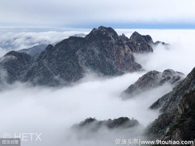 心理测试：直觉选一张蒲公英，测你的抗压能力如何？