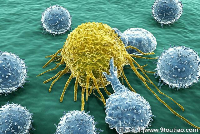 癌细胞要活下来，很不容易！能发展成癌症，也很不容易！