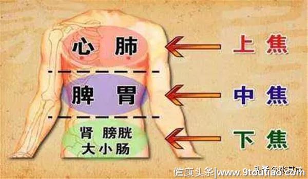 中医说的“心”究竟是什么？看完就懂了