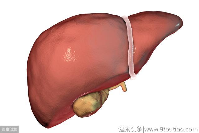 肩膀疼成这样，不是肩周炎，是肝在喊“救命”！或会熬成肝癌