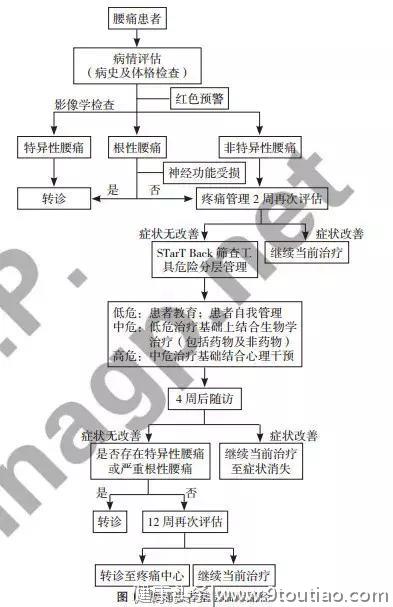 「指南解读」腰痛的基层临床路径