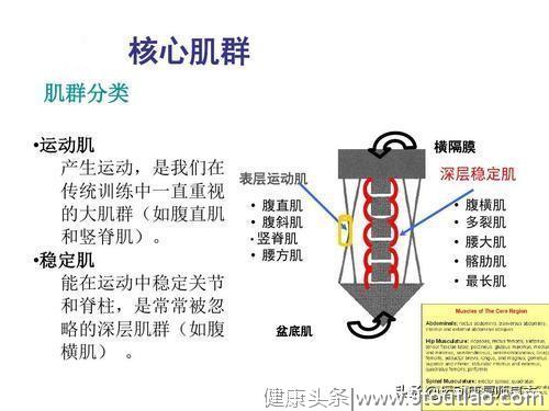 腰痛的原因有哪些？什么是核心稳定肌？很多人都搞错了