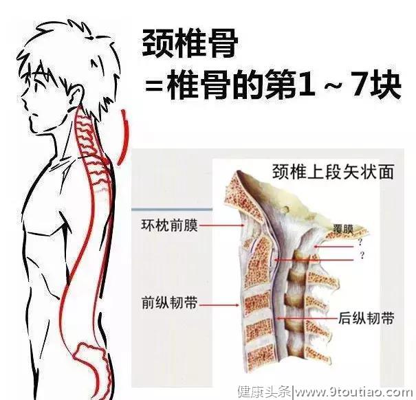 学会这些，与颈椎和解