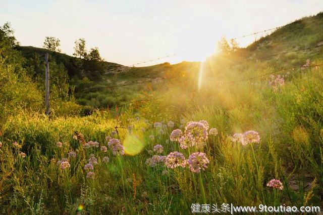 心理测试：哪一种阳光最让人温暖？测试最近谁会向你告白？