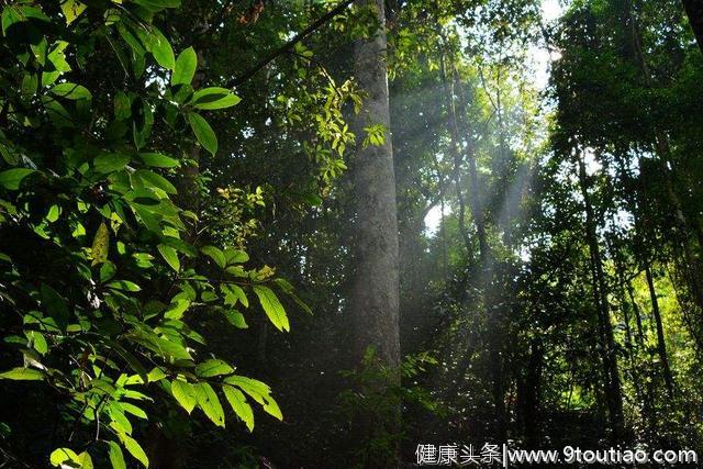 心理测试：哪一种阳光最让人温暖？测试最近谁会向你告白？