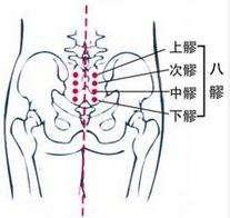 针灸穴位妙计，穴位歌诀让你轻松爱上记穴位