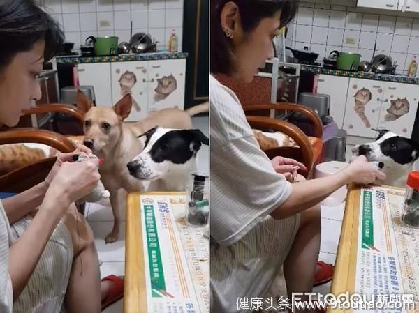 巧手妈帮失眠犬洗澡+指油压，按摩眉上穴位