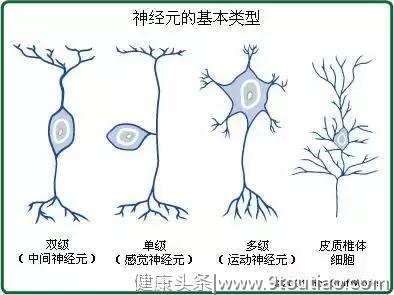 揭开男女两性的大脑奥秘，原来我们都不了解自己