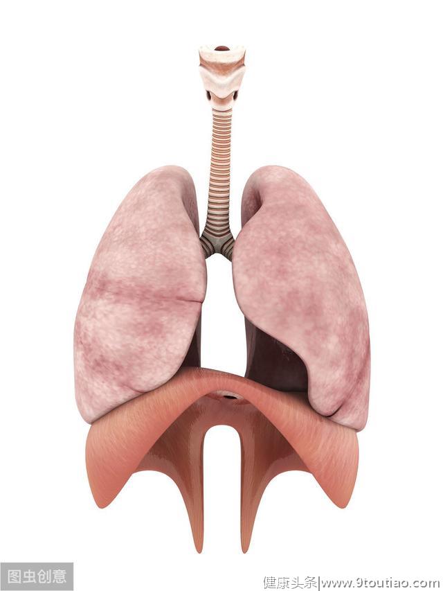 肺气肿和肺心病的区别是什么？肺气肿病人要注意什么事项