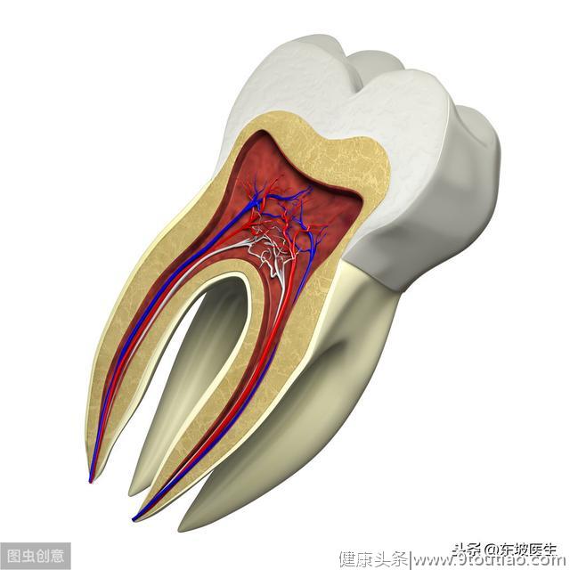 牙疼分三种，缓解疼痛除了按合谷，每种都有一个对应“特效”穴位