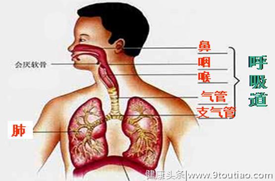 畏冷不适、疲乏无力，这是空调病？艾灸这些穴位，吹空调不得病