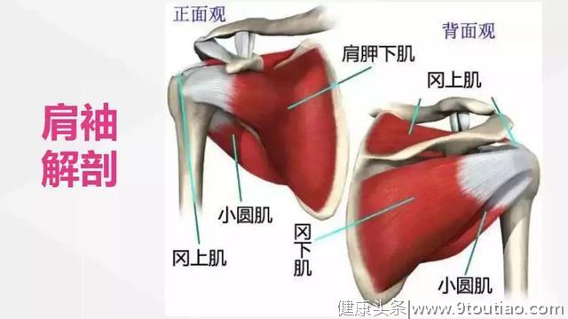 肩膀疼就是肩周炎？可能是肩袖损伤，保护肩膀做这三个动作