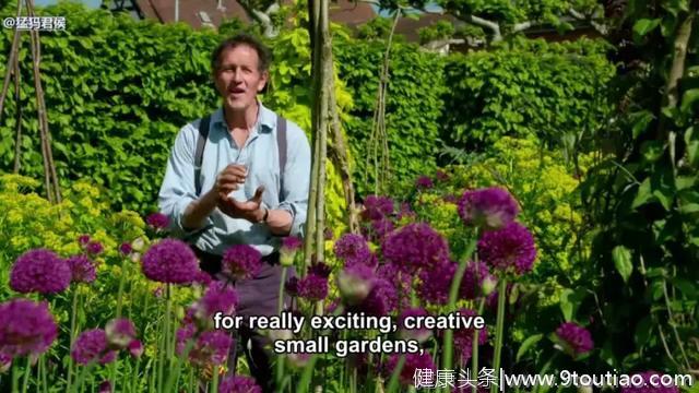 他用一朵花开，治好了自己的抑郁症，成为BBC最著名的园艺主持人