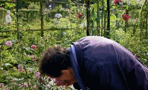 他用一朵花开，治好了自己的抑郁症，成为BBC最著名的园艺主持人