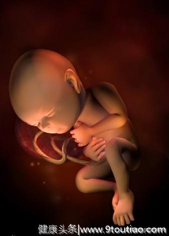 育儿：怀孕1----10个月胎儿的发育图解，生命真的好神奇