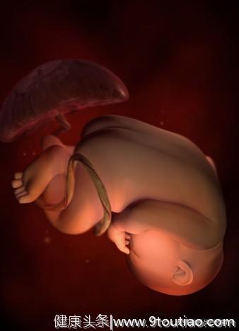 育儿：怀孕1----10个月胎儿的发育图解，生命真的好神奇