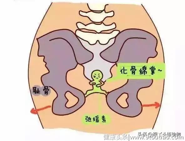 松弛素对整个孕期有何影响？怀孕了习练瑜伽要注意什么？