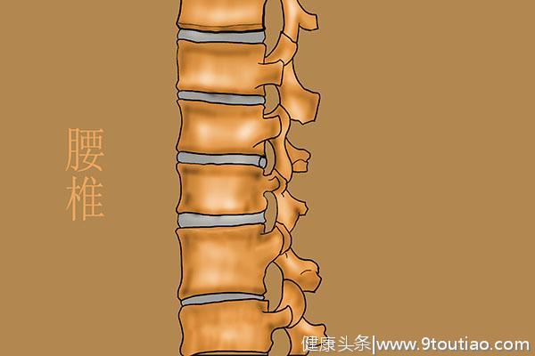 女性经常腰痛是什么原因？腰痛“罪魁祸首”终于被揪出，早点了解