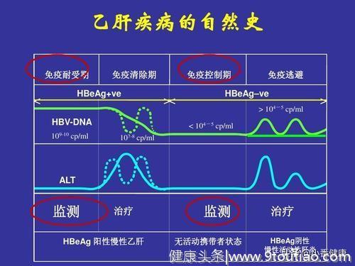 乙肝小三阳注意营养平衡，明显症状及指标异常，要参照抗病毒标准