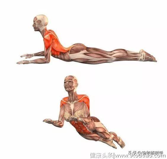 缓解和避免腰疼，每天睡前练这个瑜伽动作