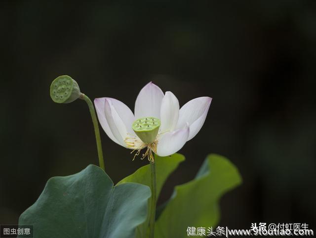 从感冒到气管炎，我只用了3天