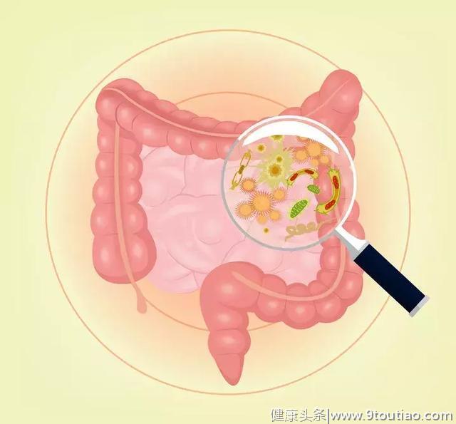 夏季胃肠疾病高发，如何用中医治疗？就让吴依娜主任告诉你答案吧