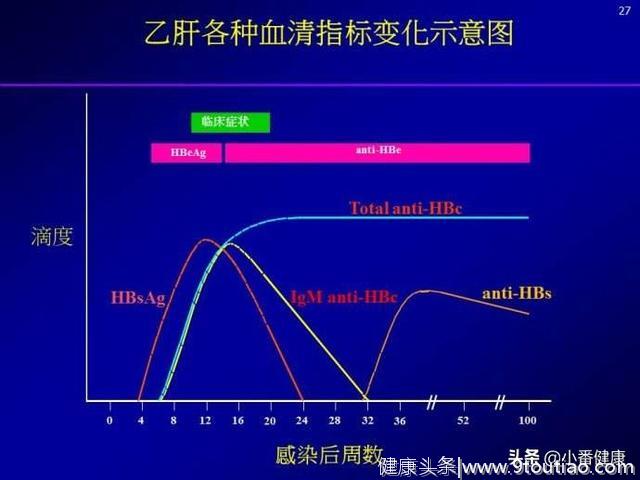 不同年龄段，乙肝小三阳预防，各有侧重